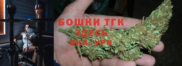 ПСИЛОЦИБИНОВЫЕ ГРИБЫ Белоозёрский