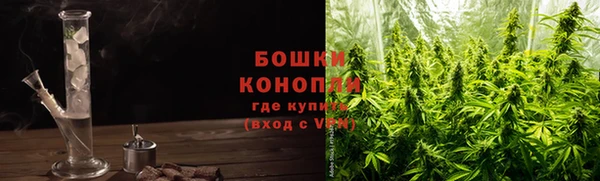 ПСИЛОЦИБИНОВЫЕ ГРИБЫ Белоозёрский