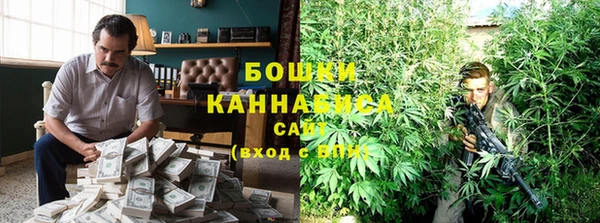 ПСИЛОЦИБИНОВЫЕ ГРИБЫ Белоозёрский