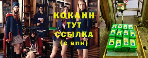 ПСИЛОЦИБИНОВЫЕ ГРИБЫ Белоозёрский